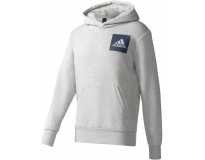 adidas Sweat C/ Capuz Essentials Chest Logo