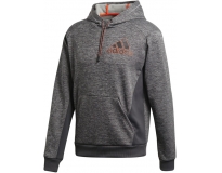 adidas Sweat C/ Capuz Commercial Badge of Sports