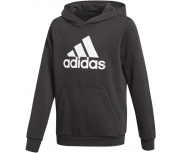 adidas Sweat C/ Capuz Youth Boys Logo Jr