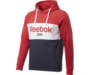 Reebok Sweat C/ Capuz Big Logo